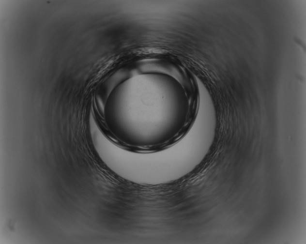 X0000093120818200709261326