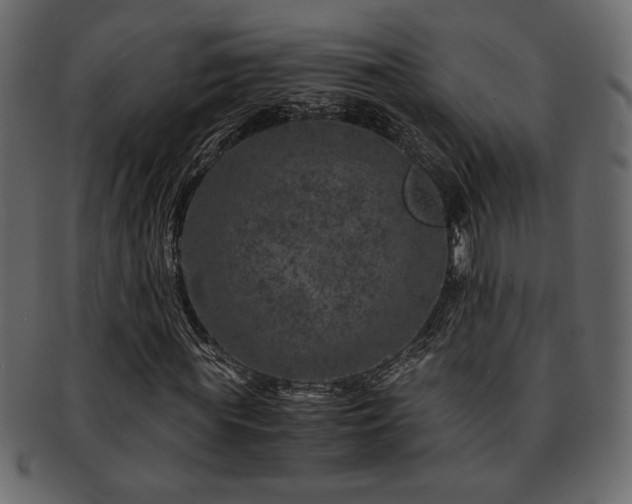 X0000093120819200709261326