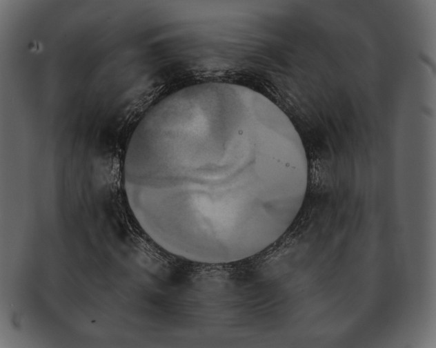 X0000093120820200709261326