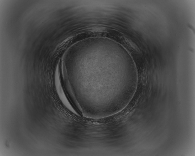X0000093120821200709261326