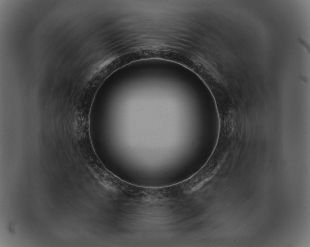 X0000093120822200709261326