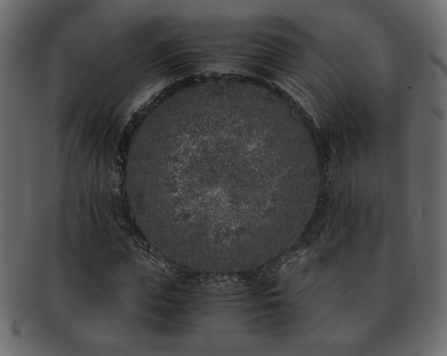 X0000093120823200709261326