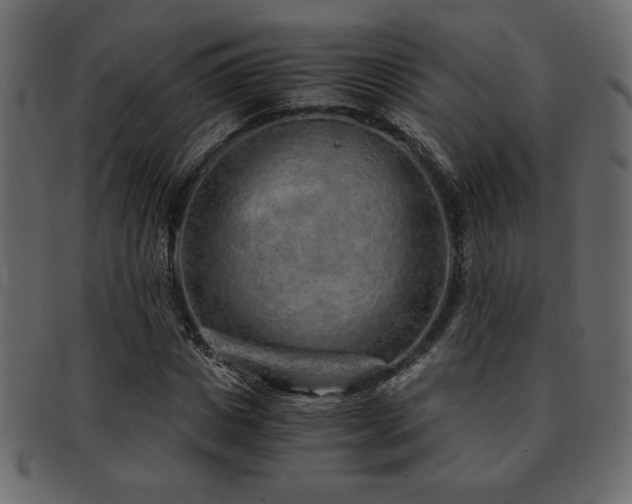 X0000093120825200709261326