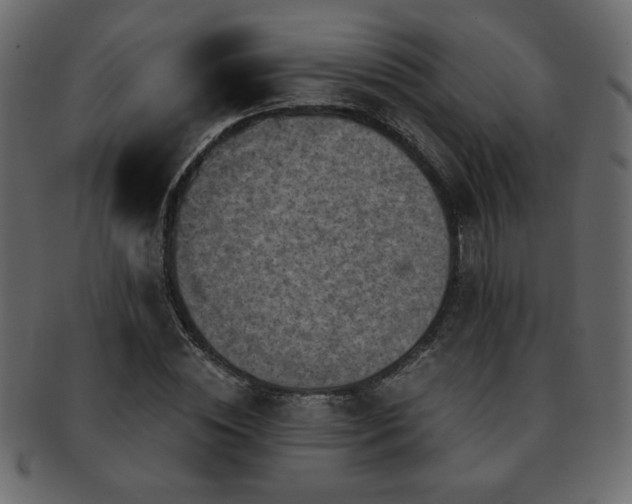 X0000093120828200709261326