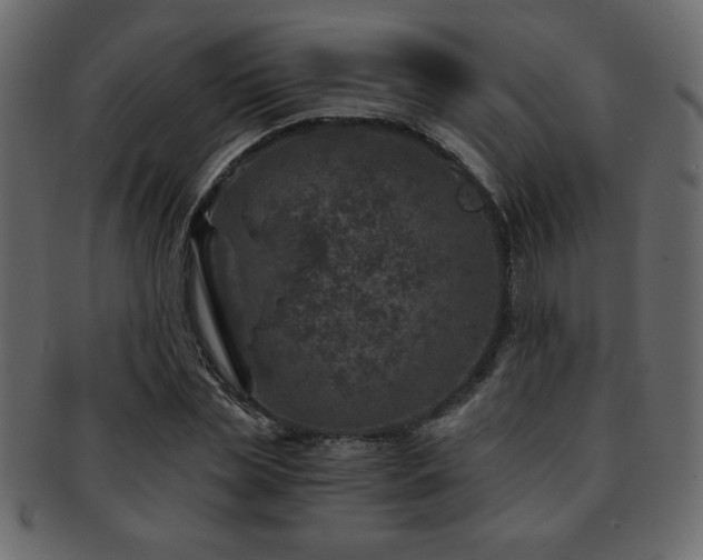 X0000093120829200709261326