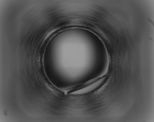 X0000093120830200709261326