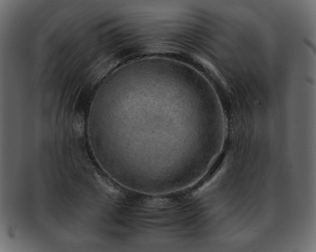 X0000093120833200709261326