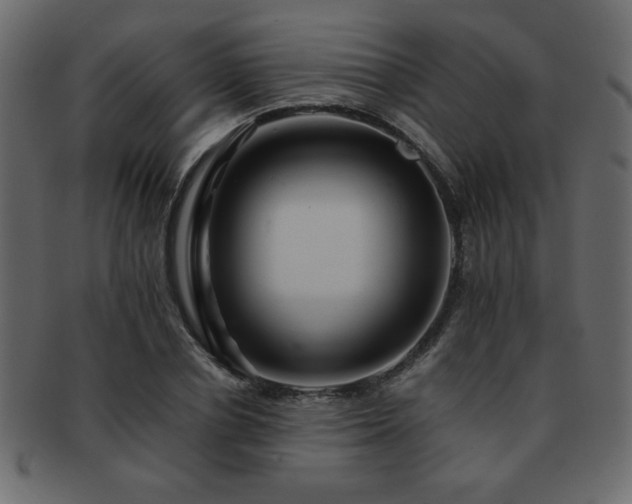 X0000093120834200709261326