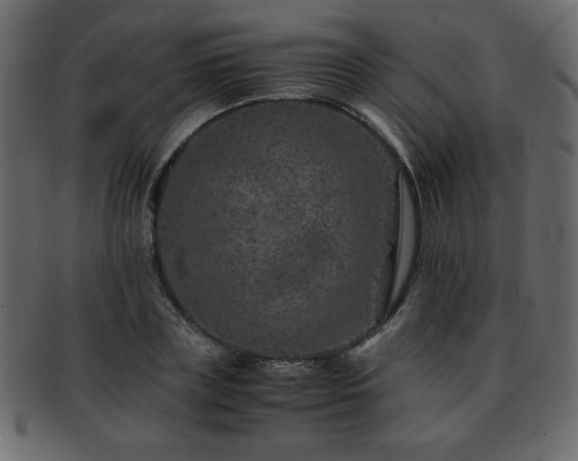 X0000093120835200709261326
