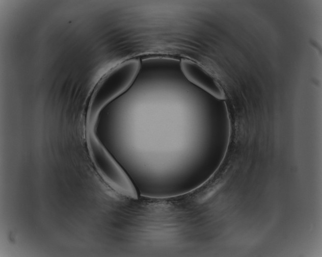 X0000093120838200709261326