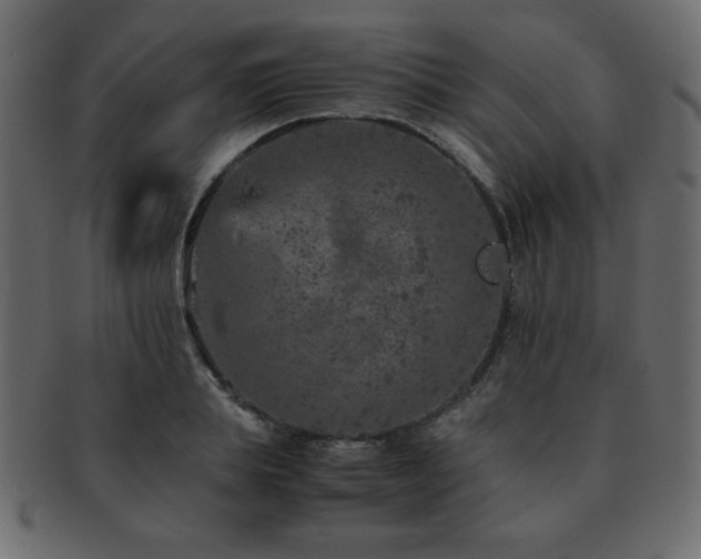 X0000093120839200709261326