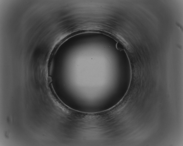 X0000093120840200709261326