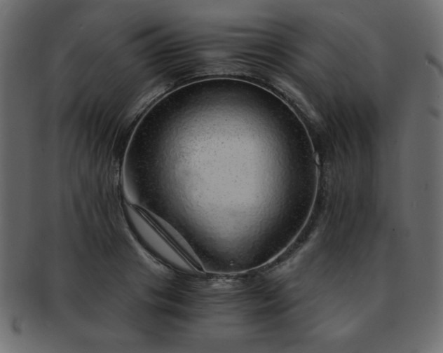 X0000093120841200709261326