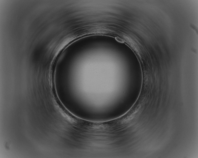 X0000093120843200709261326