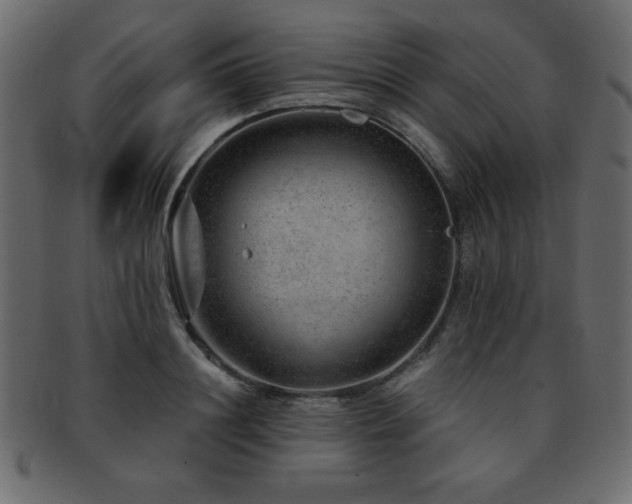 X0000093120844200709261326