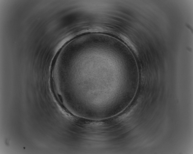 X0000093120845200709261326