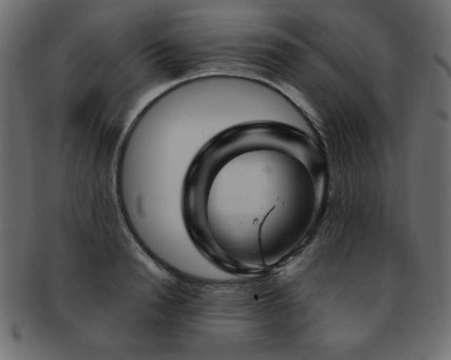 X0000093120846200709261326