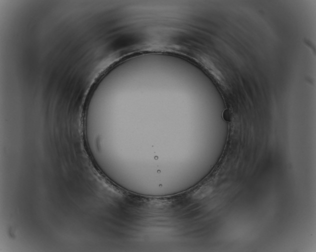 X0000093120848200709261326