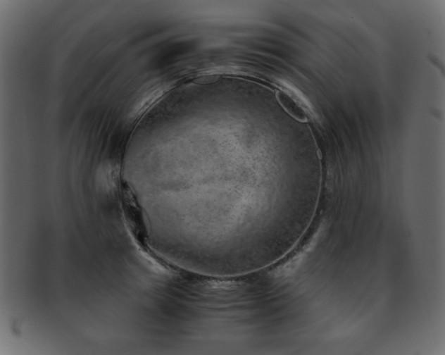 X0000093120849200709261326