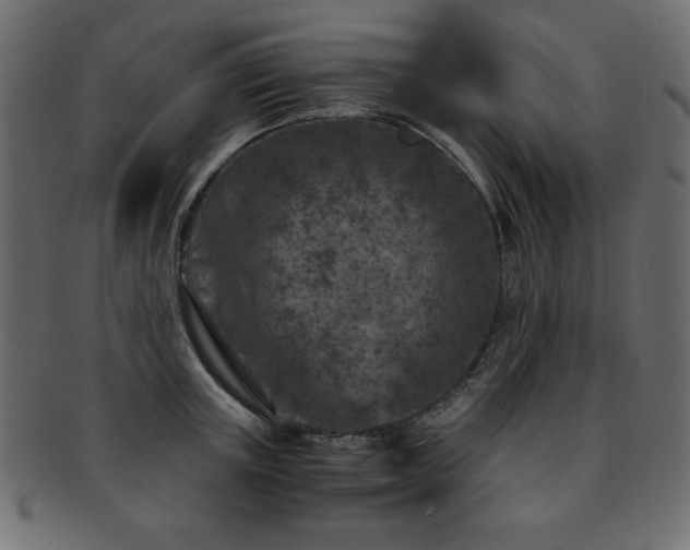 X0000093120851200709261326