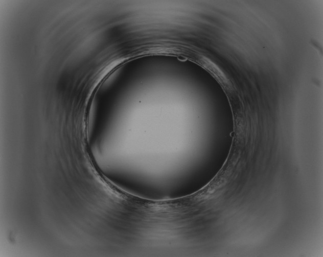 X0000093120852200709261326