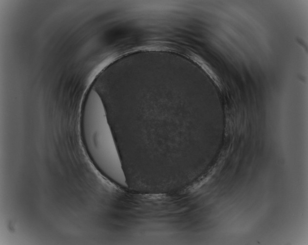 X0000093120853200709261326