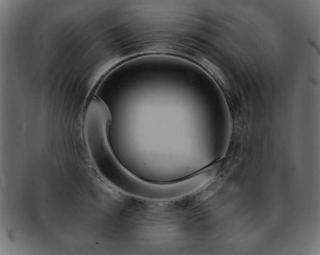 X0000093120854200709261326