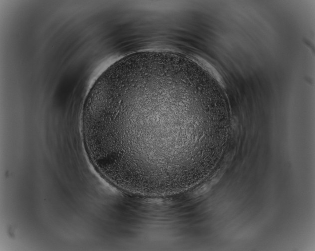X0000093120855200709261326