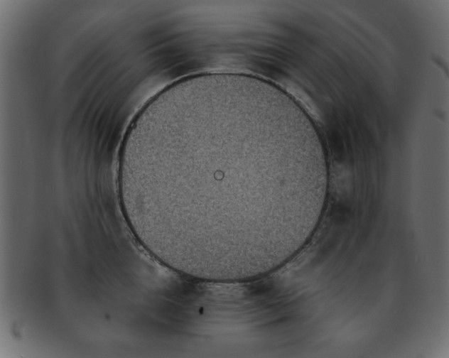 X0000093120856200709261326