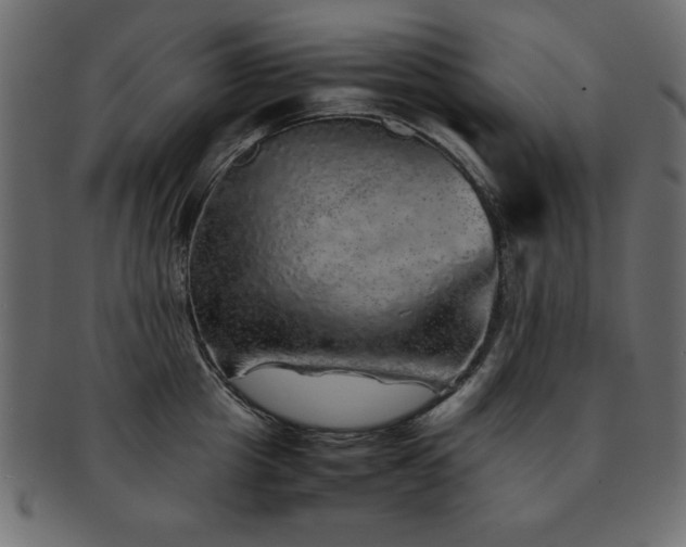 X0000093120857200709261326