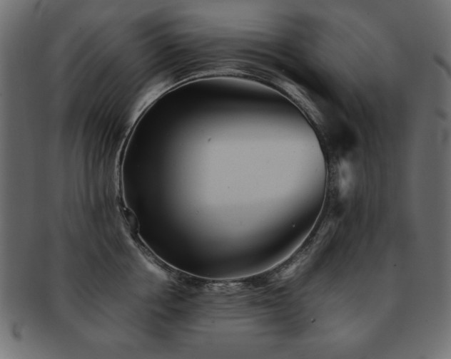 X0000093120858200709261326