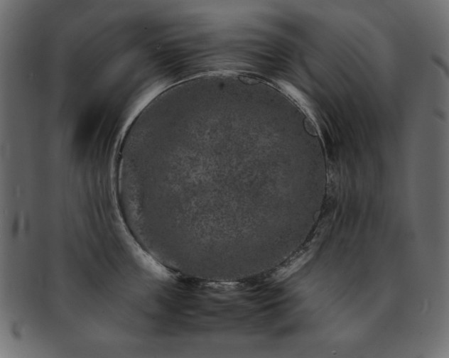 X0000093120859200709261326