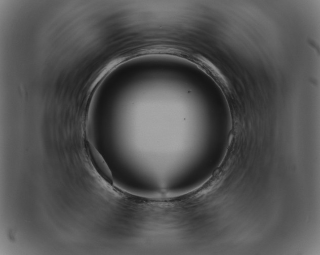 X0000093120860200709261326