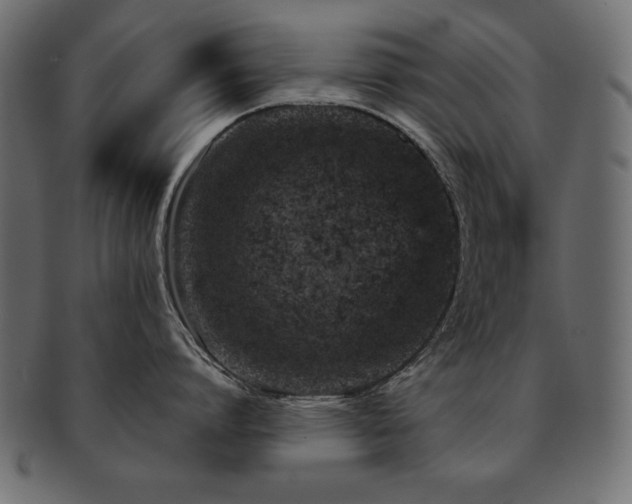 X0000093120864200709261326