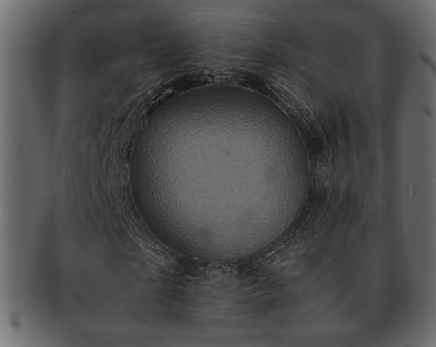 X0000093120865200709261326