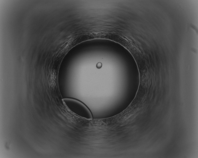 X0000093120866200709261326