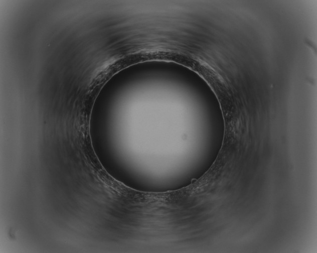 X0000093120870200709261326