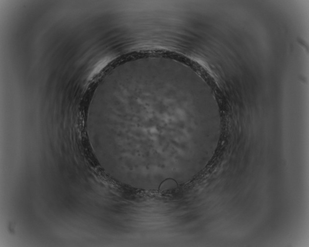 X0000093120871200709261326