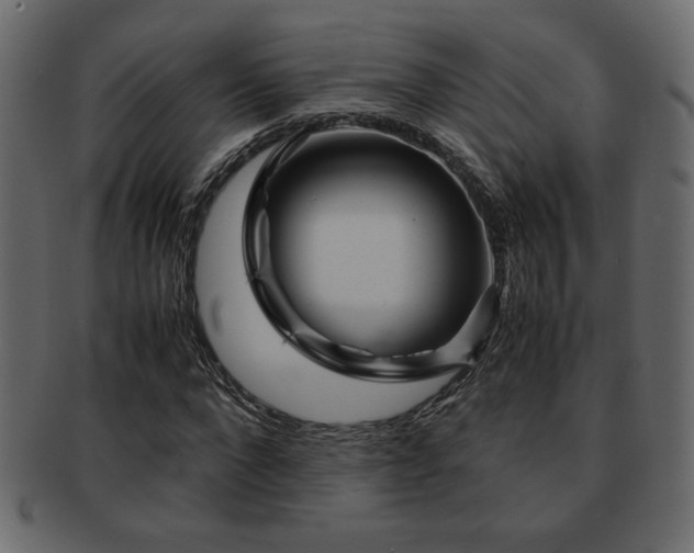 X0000093120872200709261326