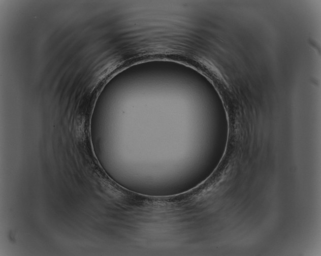 X0000093120873200709261326