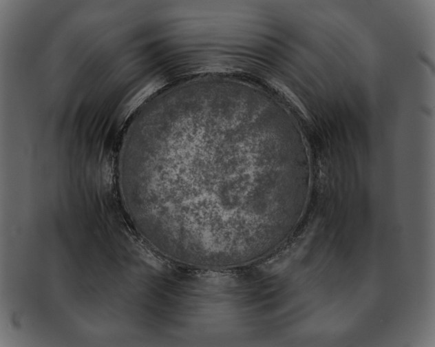 X0000093120874200709261326