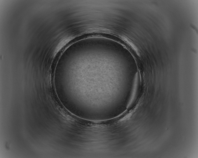 X0000093120877200709261326