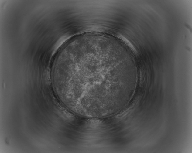 X0000093120878200709261326