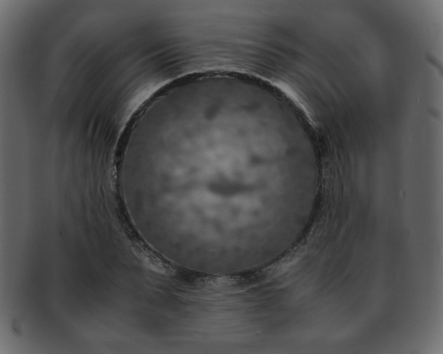 X0000093120879200709261326