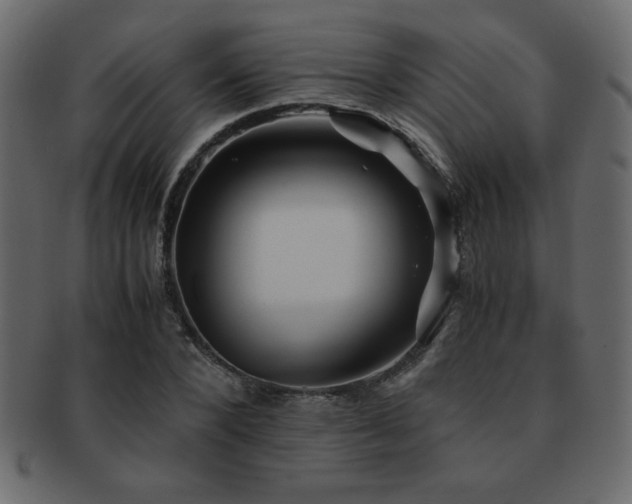 X0000093120880200709261326