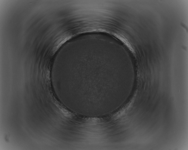X0000093120881200709261326