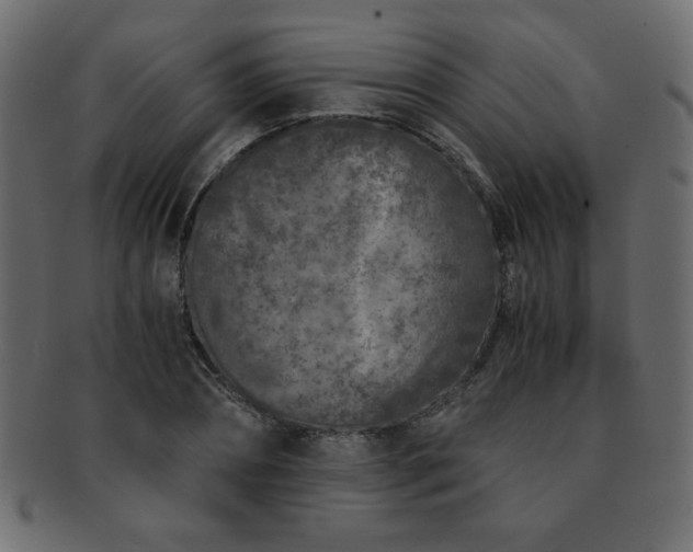 X0000093120882200709261326