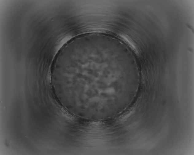 X0000093120883200709261326