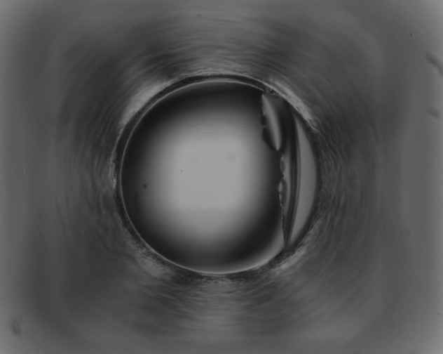 X0000093120885200709261326