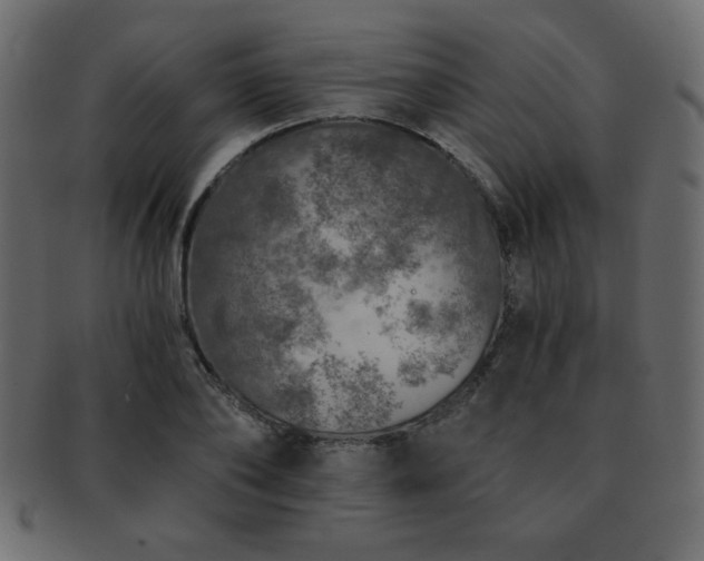 X0000093120886200709261326